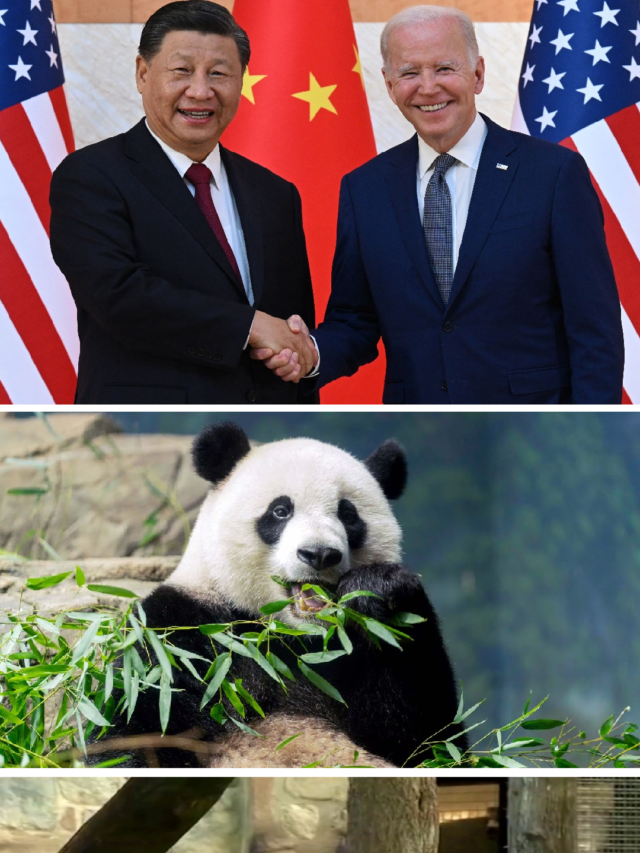 China revives panda diplomacy to soften ties with US