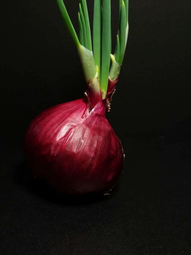 Are Sprouted Onions Safe to Eat?